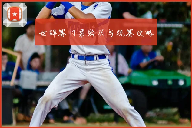 世锦赛门票购买与观赛攻略