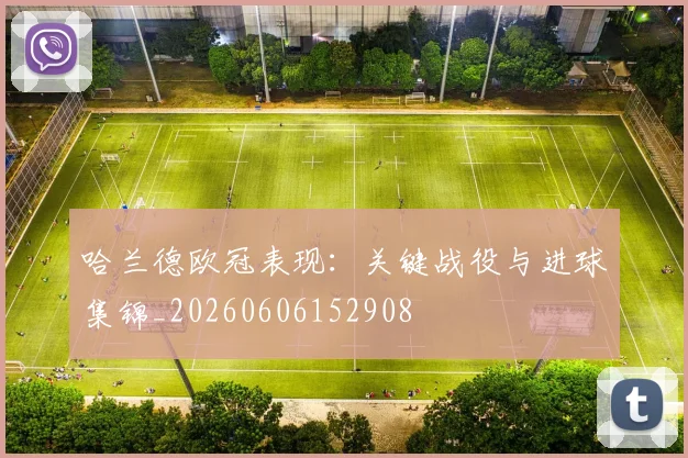 哈兰德欧冠表现:关键战役与进球集锦_20260606152908