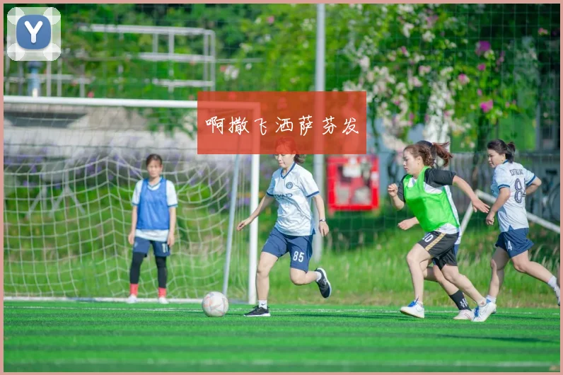 AC米兰球员阵容深度解析:核心球员与未来之星_20260605212946